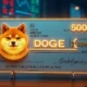 5000 doge check