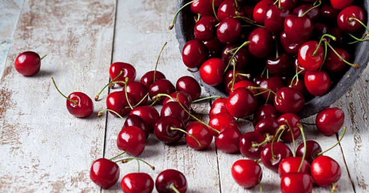 Red maraschino cherries vs dark Luxardo cherries comparison